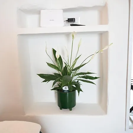 Casa Flami' 4 Apartment