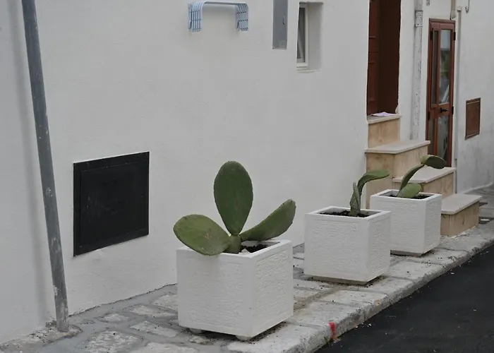 Casa Flami' 4